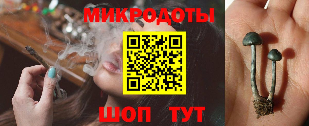 Бахчисарай  магазин  наркотиков  Вход с VPN  Галлюциногенные грибы мухоморы 